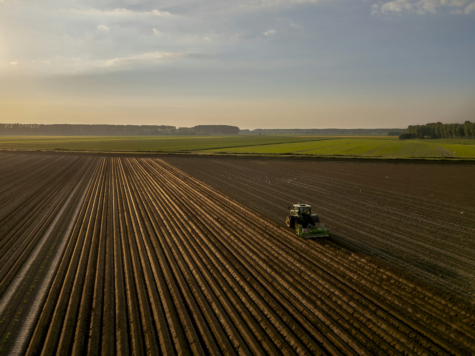 Traktor mit Anbaugerät bei der Feldarbeit im Münsterland